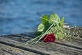 Last love greeting, rose bouquet on the old wooden pier after a