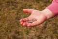 Last money for groceries. Coins in the hand of a middle-aged woman. The concept of the world food crisis associated with the war Royalty Free Stock Photo