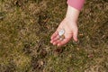 Last money for groceries. Coins in the hand of a middle-aged woman. The concept of the world food crisis associated with the war Royalty Free Stock Photo