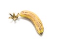 The last one banana Royalty Free Stock Photo