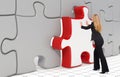 The last puzzle piece - Business concept