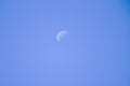 Last quarter moon in daytime Royalty Free Stock Photo