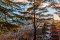 Mount Fuji as seen from the Chureito Pagoda Royalty Free Stock Photo