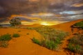 Last rays of sun over the horizon during sunset at the Perry Sandhills