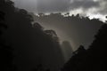 Last light of the day lights up the mountain jungle, Amazon, Ecuador