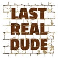 Last Real Dude printed on stylized brick wall. Textured humorous inscription for your design. Vector Royalty Free Stock Photo