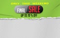 The last sale is written on the green torn paper. Website store banner template. Online shopping. Vector illustration