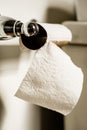 The last sheet bathroom tissue toilet paper hanging off roll
