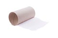 Last sheet of toilet paper Royalty Free Stock Photo