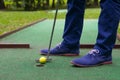 Last shot of the ball in the pocket, mini Golf club, close-up, men`s legs Royalty Free Stock Photo