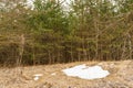 The last snow patch, an overcast day of spring in the forest, from the melted snow you can see the dry autumn grass Royalty Free Stock Photo