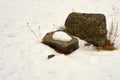 Last snow on the stone. Royalty Free Stock Photo