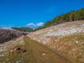 Last snow under the spring sunny sky.