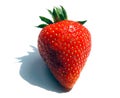 Last Strawberry Royalty Free Stock Photo