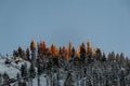 Last sunlight in Yosemite Royalty Free Stock Photo