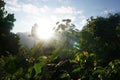 Last sunrays on the Lost City Trek, Ciudad Perdida, close to Santa Marta, Colombia Royalty Free Stock Photo