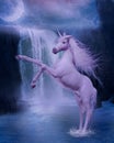 Last unicorn