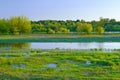 The last wild places. Flood waters of Narew river. Royalty Free Stock Photo