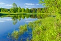 The last wild places. Narew river.