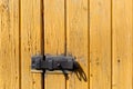 Latch on yellow wooden wall. Old shabby wooden planks with cracked color paint Royalty Free Stock Photo