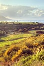 Latchi Beach near Polis in Cyprus Royalty Free Stock Photo