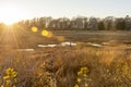 Late afternoon along marsh on Carvalho Farm Trail in Fairhaven, Massachusetts Royalty Free Stock Photo