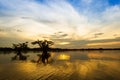 Late Afternoon Black Lagoon Cuyabeno Ecuador Royalty Free Stock Photo