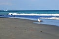 Late afternoon brings shadows to the oceanfront of a South Florida beach Royalty Free Stock Photo