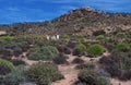 Boer cemetery, Norther Cape, South Africa Royalty Free Stock Photo