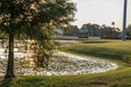 A late afternoon lake around nature Royalty Free Stock Photo