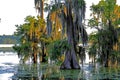 Late Afternoon Landscape scene in Lake Martin Louisiana Royalty Free Stock Photo