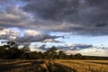 Late afternoon light landscape in farmland near Moe