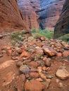 Kata Tjuta Red Rock Canyon, Northern Territory, Australia Royalty Free Stock Photo