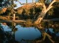 Late afternoon reflections in Jay Creek - Central Australia Royalty Free Stock Photo