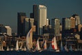 Late afternoon sailboat races on Lake Union Royalty Free Stock Photo