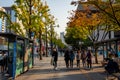 Late afternoon on Sejongno Street on an autumn day, Seoul, South Korea Royalty Free Stock Photo