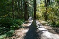 Late afternoon shadows cross a hiking trail in Beacon Rock State Park, Washington, USA Royalty Free Stock Photo