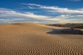 The late afternoon sun casts shadows across the sand dunes at Adolfo Lopez Mateos in Baja California