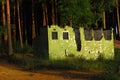 Late afternoon sunlight lights up an old ruin next to a forest. Royalty Free Stock Photo