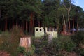 Late afternoon sunlight lights up an old ruin in a clearing in a forest. Royalty Free Stock Photo