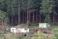 Old ruins in a forest clearing in South Africa Royalty Free Stock Photo