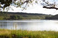 Late afternoon sunlight under an oak tree next to a peaceful country dam. Royalty Free Stock Photo