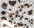 Late Autumn background messy flat lay on white crumpled cotton fabric: walnuts in nutshell, wild grapes and dry leaves Royalty Free Stock Photo