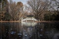 Winter, Autumn scenery in apark with frozen lake and bridge