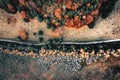 Late autumn forest aerial view near Saint Anna Lake, Transylvania, Romania Royalty Free Stock Photo