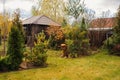 Late autumn garden view with wooden shed and conifers Royalty Free Stock Photo