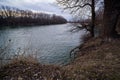 late autumn landscape, forest on the river bank, old trees and withered leaves and grass, cloudy weather Royalty Free Stock Photo