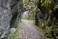 Late autumn landscape of Scorota Gorges in the Carpathians. Royalty Free Stock Photo