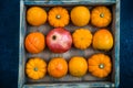 Late Autumn Orange Harvest Fruits and Vegetable