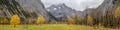Autumn panorama in the Eng-Alm in Tyrol with yellow maple trees Royalty Free Stock Photo